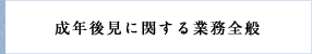 成年後見に関する業務全般