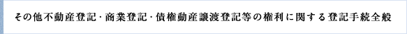 その他不動産登記・商業登記・債権動産譲渡登記等の権利に関する登記手続全般